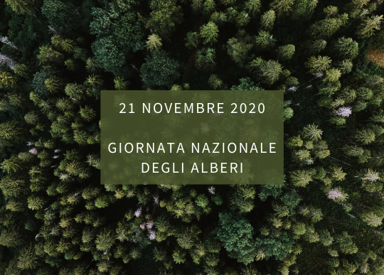 giornata alberi.png
